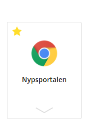 Sen skärmdump på google chromes logga (en cirkel som är grön, röd, gul och i mitten är det en blå prick). Under loggan står det Nypsportalen.